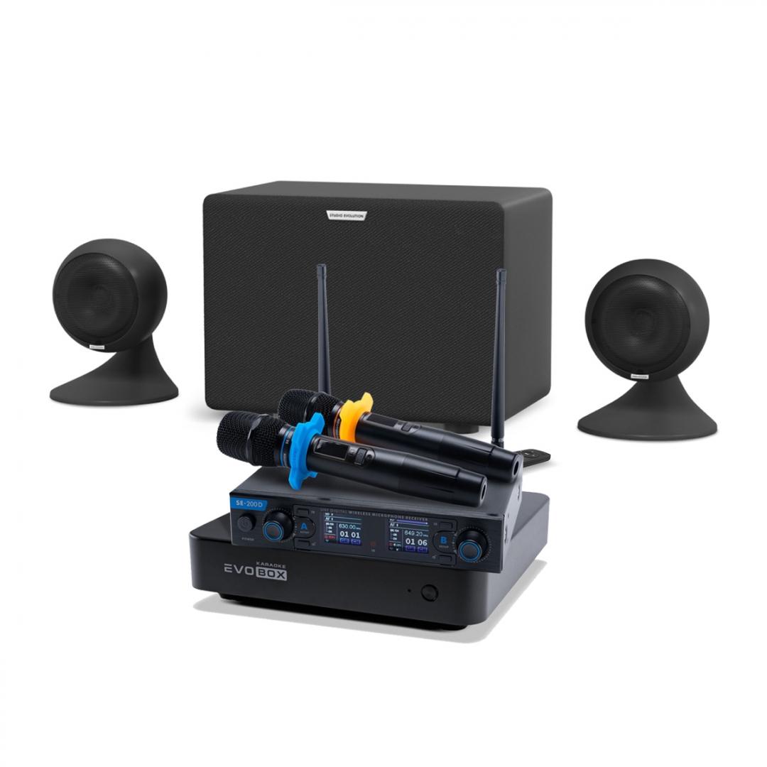 караоке-комплект EVOBOX + EvoSound Sphere 2.1 в Кузнецке
