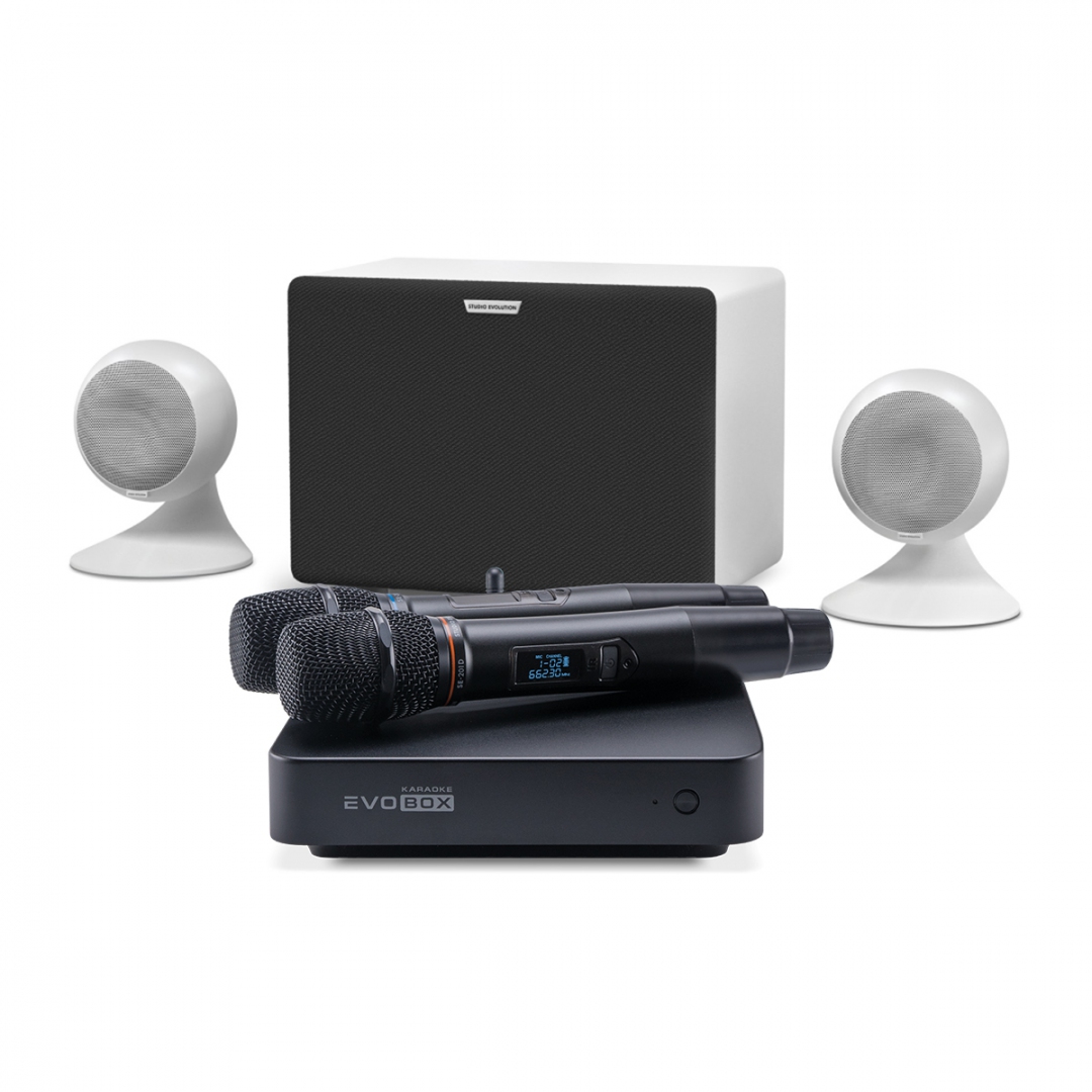 караоке-комплект EVOBOX Classic + EvoSound Sphere 2.1 в Кузнецке