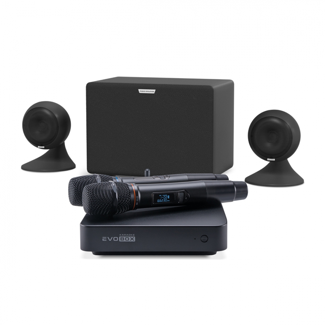 караоке-комплект EVOBOX Plus + EvoSound Sphere 2.1 в Кузнецке