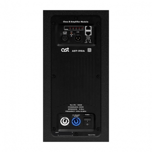 Активная акустическая система AST-310A в Кузнецке