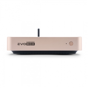 EVOBOX Plus караоке-система для дома в Кузнецке