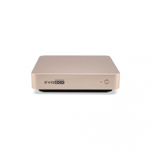 EVOBOX с микрофонами в Кузнецке