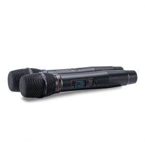 SE-200D цифровые микрофоны в Кузнецке